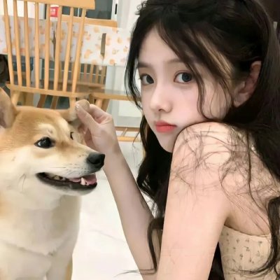 蒂科与鲨鱼